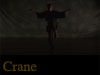 Crane Kung Fu Video