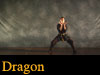 Dragon Kung Fu Video