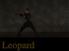 Leopard Kung Fu Video