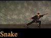 Snake Kung Fu Video